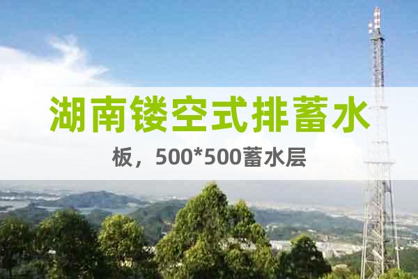 湖南镂空式排蓄水板，500*500蓄水层