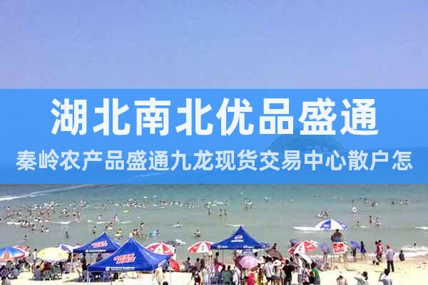 湖北南北优品盛通秦岭农产品盛通九龙现货交易中心散户怎么