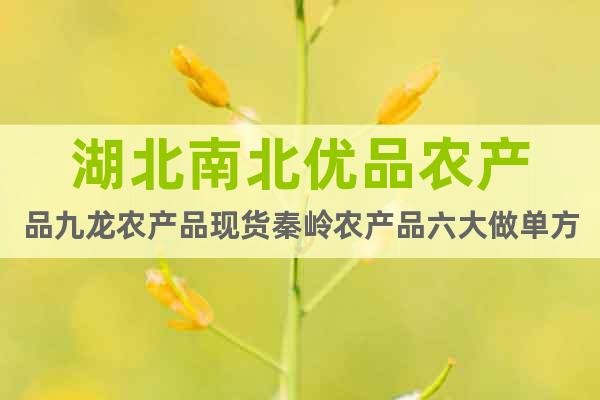 湖北南北優(yōu)品農(nóng)產(chǎn)品九龍農(nóng)產(chǎn)品現(xiàn)貨秦嶺農(nóng)產(chǎn)品六大做單方法
