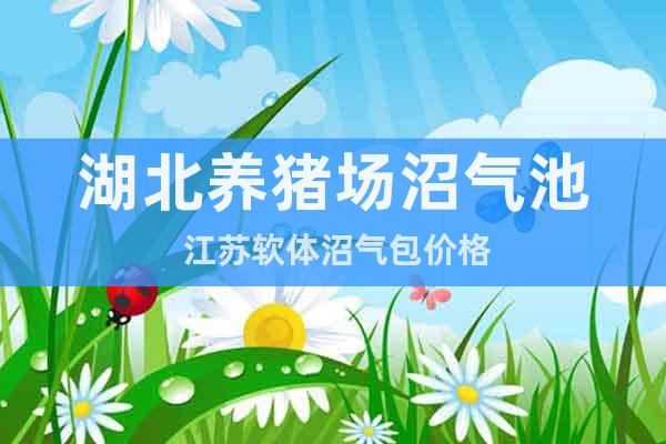 湖北養(yǎng)豬場沼氣池 江蘇軟體沼氣包價格