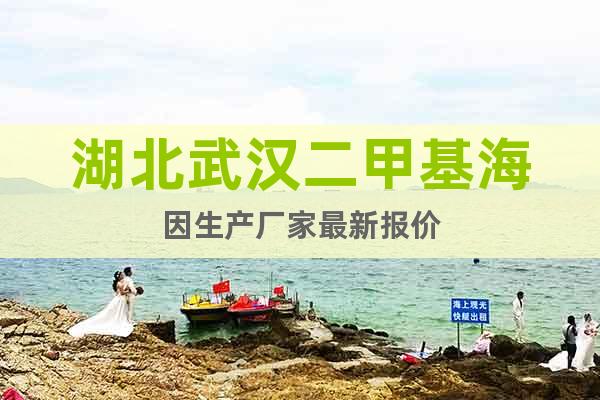 湖北武漢二甲基海因生產(chǎn)廠(chǎng)家最新報(bào)價(jià)