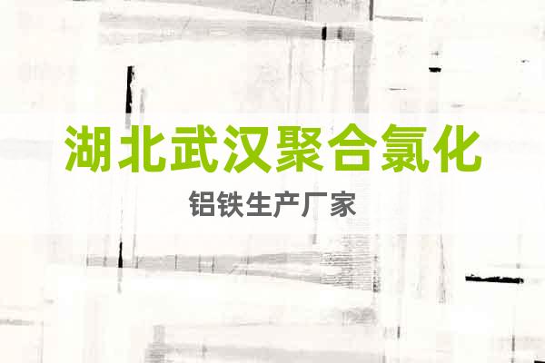 湖北武漢聚合氯化鋁鐵生產(chǎn)廠家