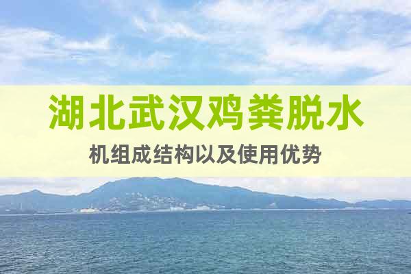 湖北武漢雞糞脫水機(jī)組成結(jié)構(gòu)以及使用優(yōu)勢(shì)