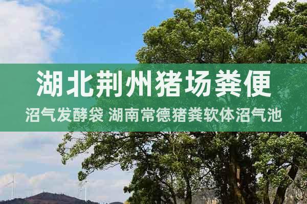 湖北荊州豬場糞便沼氣發(fā)酵袋 湖南常德豬糞軟體沼氣池