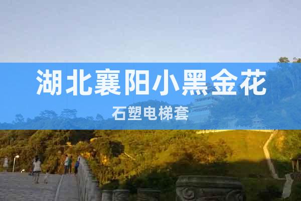 湖北襄陽小黑金花石塑電梯套