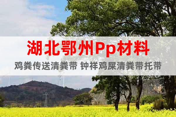 湖北鄂州Pp材料雞糞傳送清糞帶 鐘祥雞屎清糞帶托帶