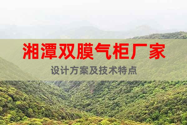 湘潭雙膜氣柜廠家設(shè)計(jì)方案及技術(shù)特點(diǎn)