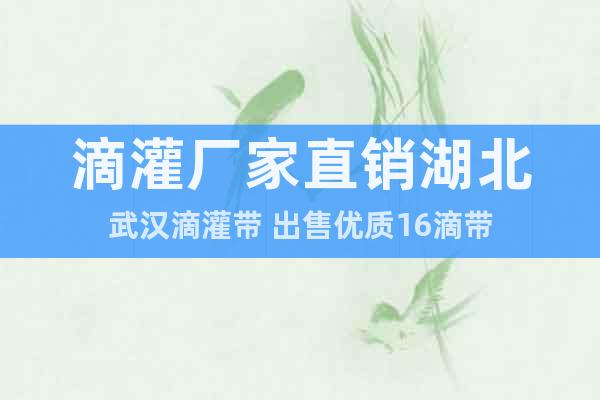 滴灌厂家直销湖北武汉滴灌带 出售优质16滴带