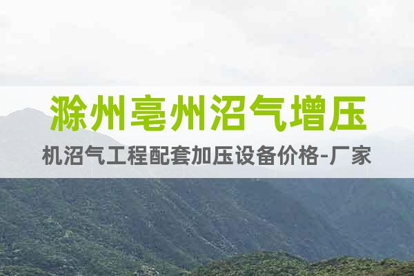 滁州亳州沼氣增壓機(jī)沼氣工程配套加壓設(shè)備價格-廠家
