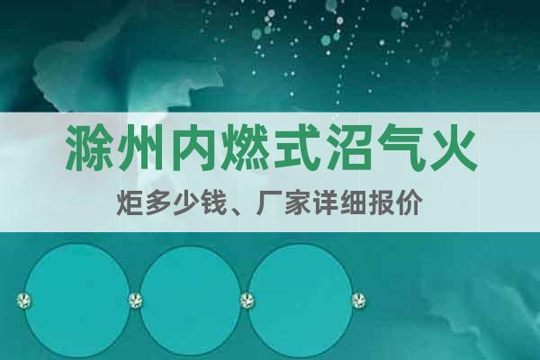 滁州內燃式沼氣火炬多少錢、廠家詳細報價