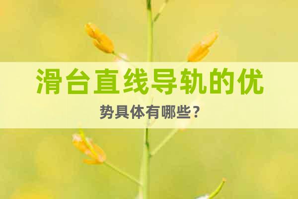 滑臺直線導軌的優(yōu)勢具體有哪些？