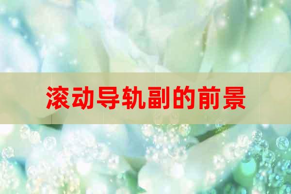 滾動(dòng)導(dǎo)軌副的前景