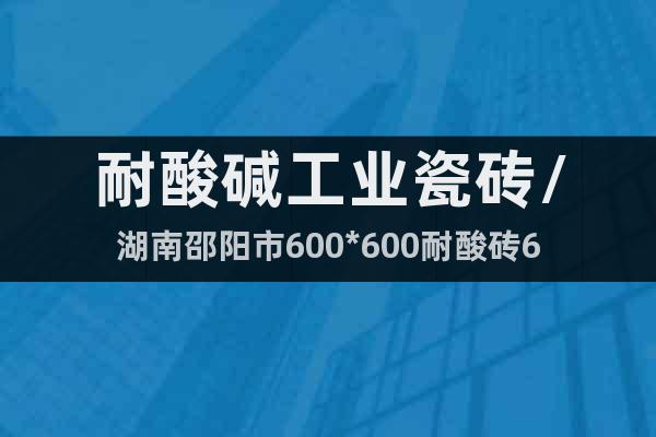 耐酸碱工业瓷砖/湖南邵阳市600*600耐酸砖6