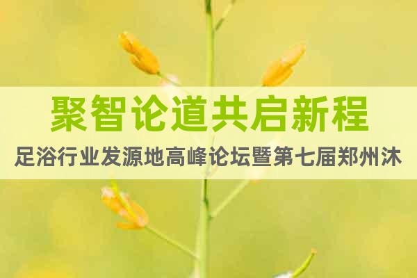 聚智論道共啟新程足浴行業(yè)發(fā)源地高峰論壇暨第七屆鄭州沐浴博覽會