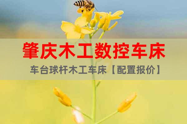 肇慶木工數(shù)控車床 車臺(tái)球桿木工車床【配置報(bào)價(jià)】