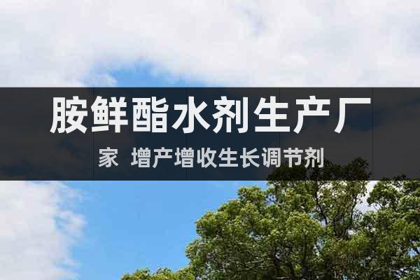 胺鮮酯水劑生產(chǎn)廠家  增產(chǎn)增收生長(zhǎng)調(diào)節(jié)劑
