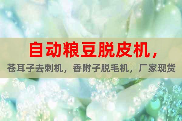 自動(dòng)糧豆脫皮機(jī)，蒼耳子去刺機(jī)，香附子脫毛機(jī)，廠家現(xiàn)貨供應(yīng)