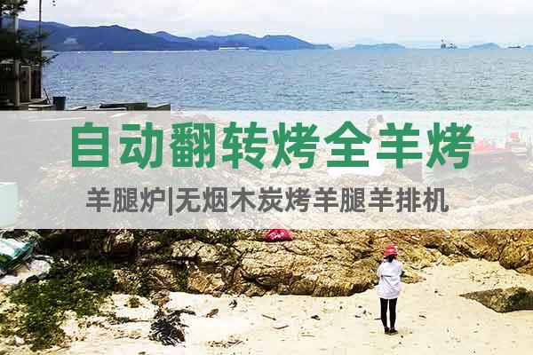 自動翻轉(zhuǎn)烤全羊烤羊腿爐|無煙木炭烤羊腿羊排機(jī)