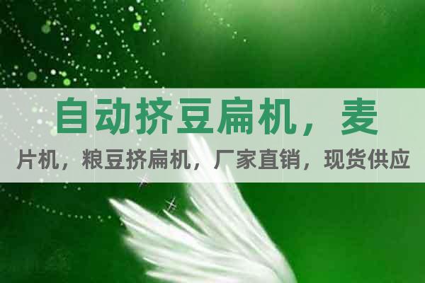 自動擠豆扁機(jī)，麥片機(jī)，糧豆擠扁機(jī)，廠家直銷，現(xiàn)貨供應(yīng)