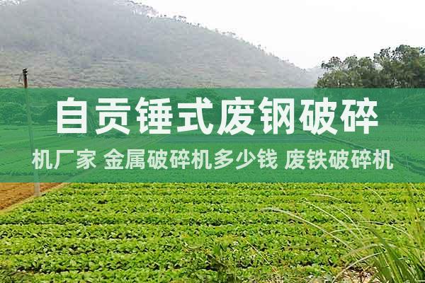 自貢錘式廢鋼破碎機(jī)廠家 金屬破碎機(jī)多少錢(qián) 廢鐵破碎機(jī)哪里賣(mài)