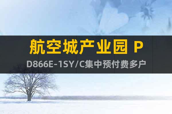 航空城产业园 PD866E-1SY/C集中预付费多户电表
