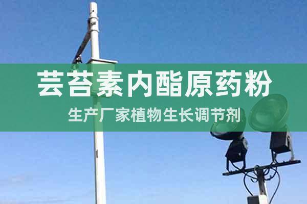 蕓苔素內(nèi)酯原藥粉生產(chǎn)廠家植物生長(zhǎng)調(diào)節(jié)劑