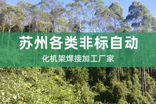 蘇州各類非標自動化機架焊接加工廠家