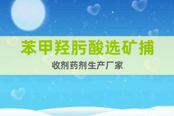 苯甲羥肟酸選礦捕收劑藥劑生產(chǎn)廠家