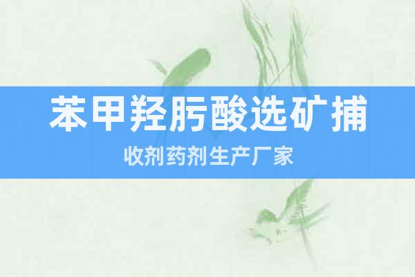 苯甲羥肟酸選礦捕收劑藥劑生產(chǎn)廠家