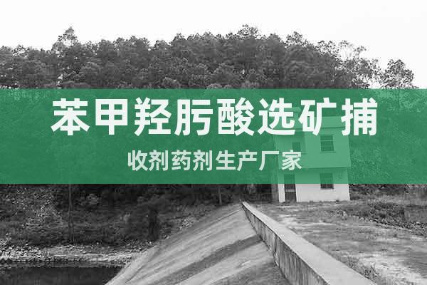 苯甲羥肟酸選礦捕收劑藥劑生產(chǎn)廠家