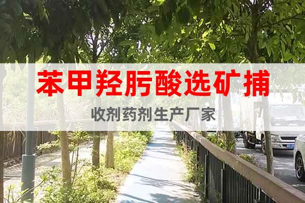 苯甲羥肟酸選礦捕收劑藥劑生產(chǎn)廠家