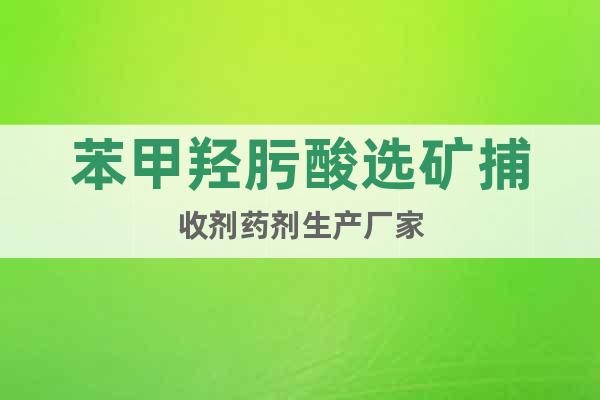 苯甲羥肟酸選礦捕收劑藥劑生產(chǎn)廠家