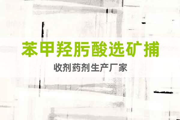 苯甲羥肟酸選礦捕收劑藥劑生產(chǎn)廠家