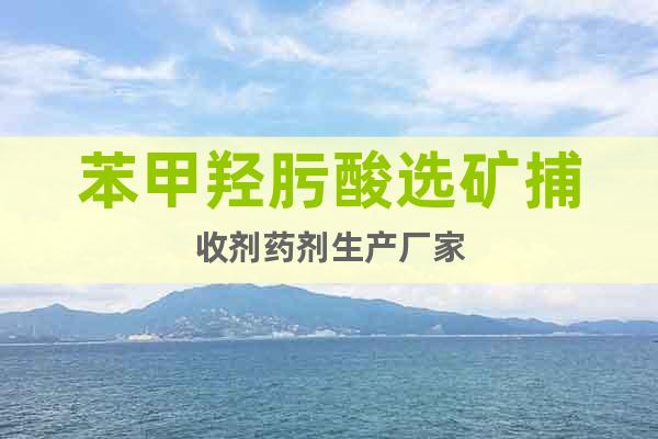 苯甲羥肟酸選礦捕收劑藥劑生產(chǎn)廠家