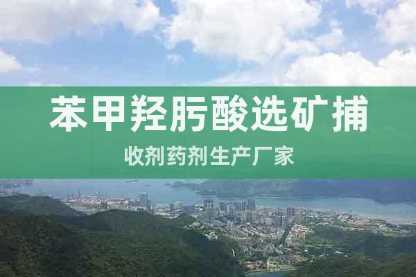 苯甲羥肟酸選礦捕收劑藥劑生產(chǎn)廠家