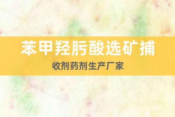 苯甲羥肟酸選礦捕收劑藥劑生產(chǎn)廠家