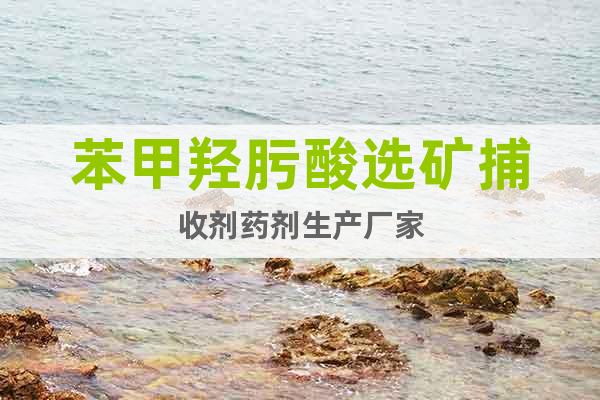 苯甲羥肟酸選礦捕收劑藥劑生產(chǎn)廠家