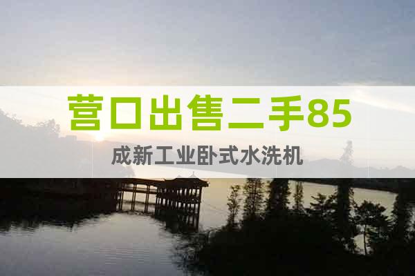 營口出售二手85成新工業臥式水洗機