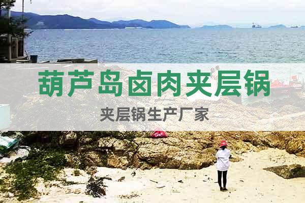 葫蘆島鹵肉夾層鍋 夾層鍋生產(chǎn)廠家