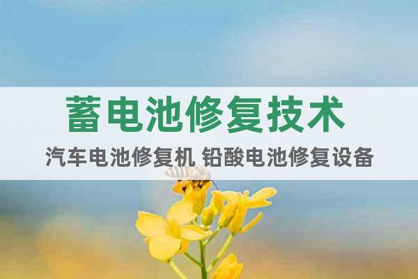 蓄電池修復(fù)技術(shù) 汽車電池修復(fù)機(jī) 鉛酸電池修復(fù)設(shè)備