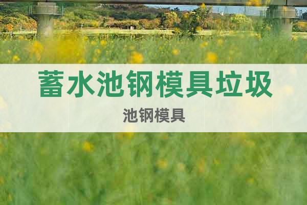 蓄水池鋼模具垃圾池鋼模具