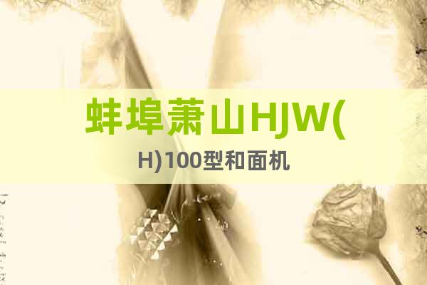 蚌埠萧山HJW(H)100型和面机