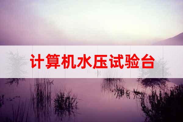 計算機水壓試驗臺