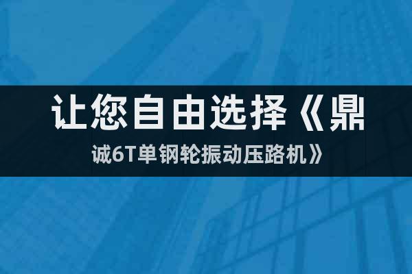 讓您自由選擇《鼎誠6T單鋼輪振動壓路機》