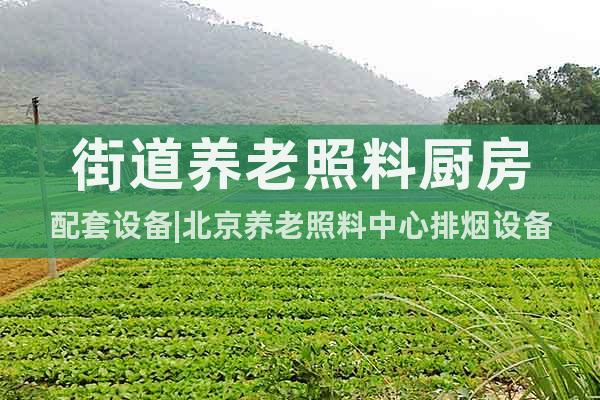 街道養(yǎng)老照料廚房配套設(shè)備|北京養(yǎng)老照料中心排煙設(shè)備