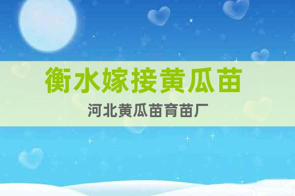 衡水嫁接黃瓜苗 河北黃瓜苗育苗廠