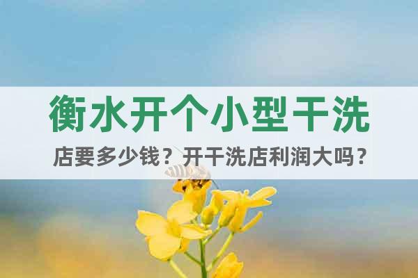 衡水開個小型干洗店要多少錢？開干洗店利潤大嗎？