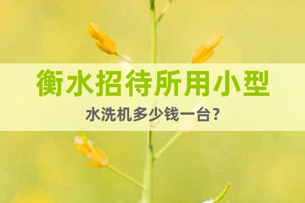 衡水招待所用小型水洗機(jī)多少錢一臺(tái)？