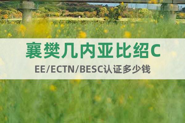 襄樊幾內(nèi)亞比紹CEE/ECTN/BESC認(rèn)證多少錢