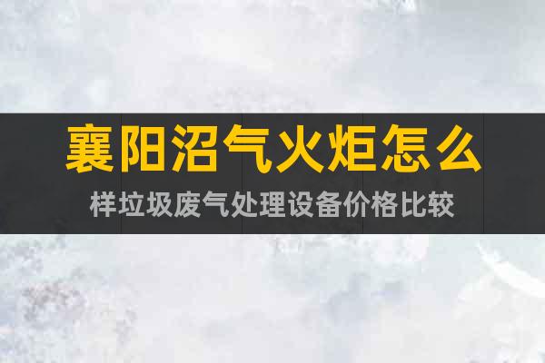 襄陽(yáng)沼氣火炬怎么樣垃圾廢氣處理設(shè)備價(jià)格比較